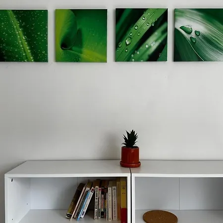 Centre - Au Mojito Apartment *